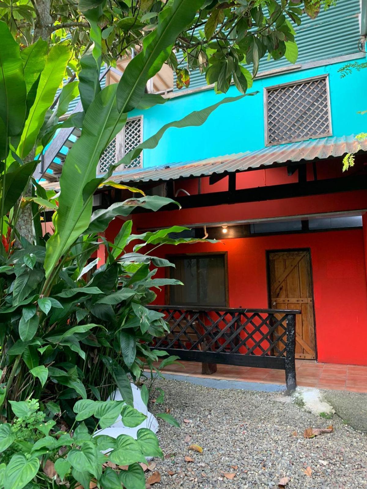 Playa Negra Brewing Beachfront Hotel Puerto Viejo de Talamanca Extérieur photo